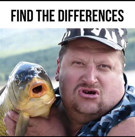 Fish Memes .